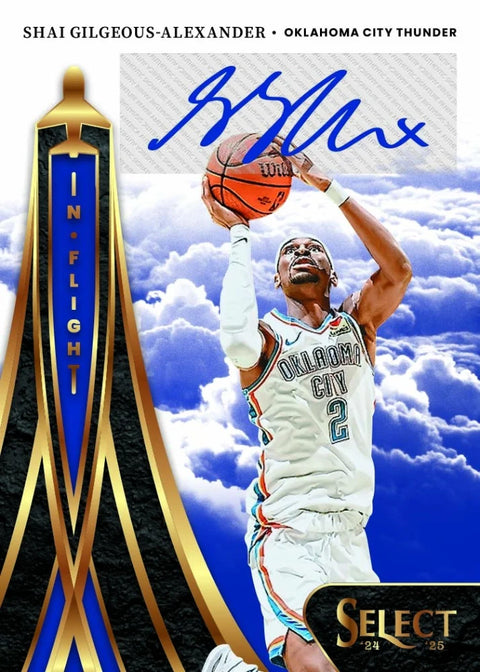 2024/25 Panini Select Basketball International Hobby Box ( Dragon Scale Prizms )
