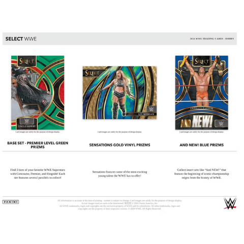 2024 Panini Select WWE Wrestling Hobby Box