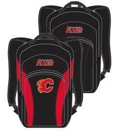 NHL Backpack - pick your team